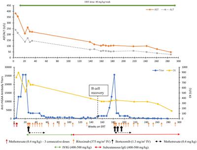 An updated management approach of Pompe disease patients with high-sustained anti-rhGAA IgG antibody titers: experience with bortezomib-based immunomodulation